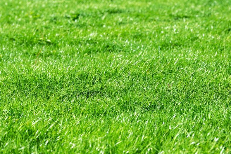 Variable growth dictates grazing management Variable growth dictates grazing management