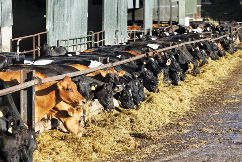Almost 40% of farms short of fodder - Teagasc Almost 40% of farms short of fodder - Teagasc