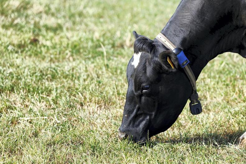 Drought burns off fertiliser sales Drought burns off fertiliser sales