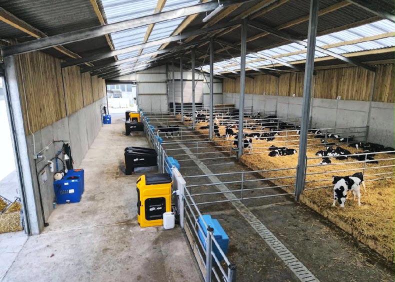 New 200-calf shed ticks the box for Tipperary farm New 200-calf shed ticks the box for Tipperary farm