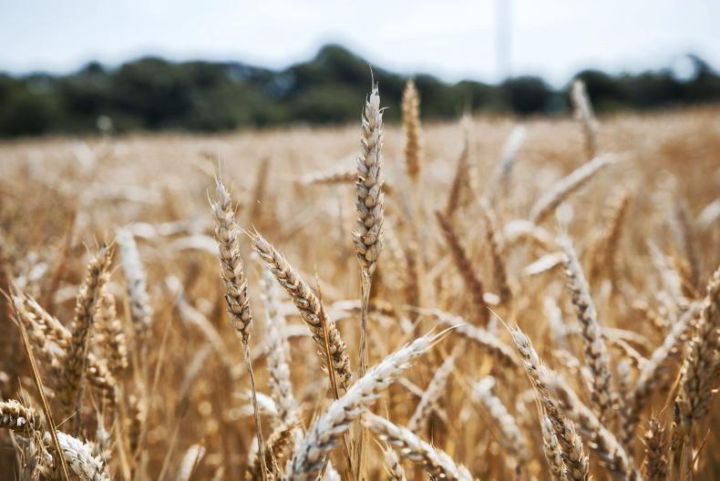 Higher food prices already 'locked in' and will be 'most visible' next summer Higher food prices already 'locked in' and will be 'most visible' next summer