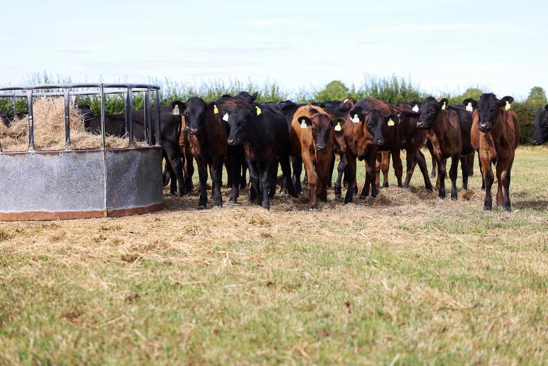 £65m drought support for English farmers £65m drought support for English farmers