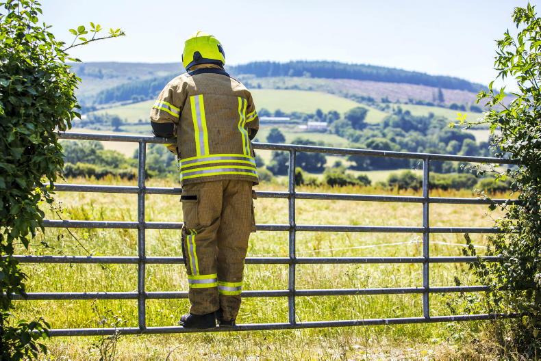 Fire brigades tackle over 2,300 forest, bog and grass fires in 2025 Fire brigades tackle over 2,300 forest, bog and grass fires in 2025