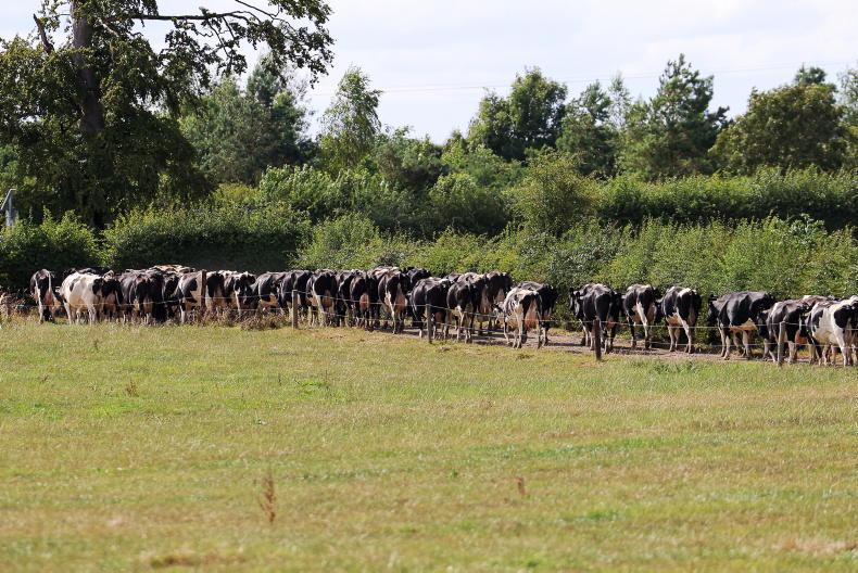 Feed management – top tips for the week ahead Feed management – top tips for the week ahead