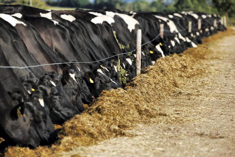 Stretch fodder reserves to avoid empty pits this January - Teagasc Stretch fodder reserves to avoid empty pits this January - Teagasc