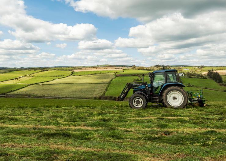 Home Farm: greening up though streams dry Home Farm: greening up though streams dry