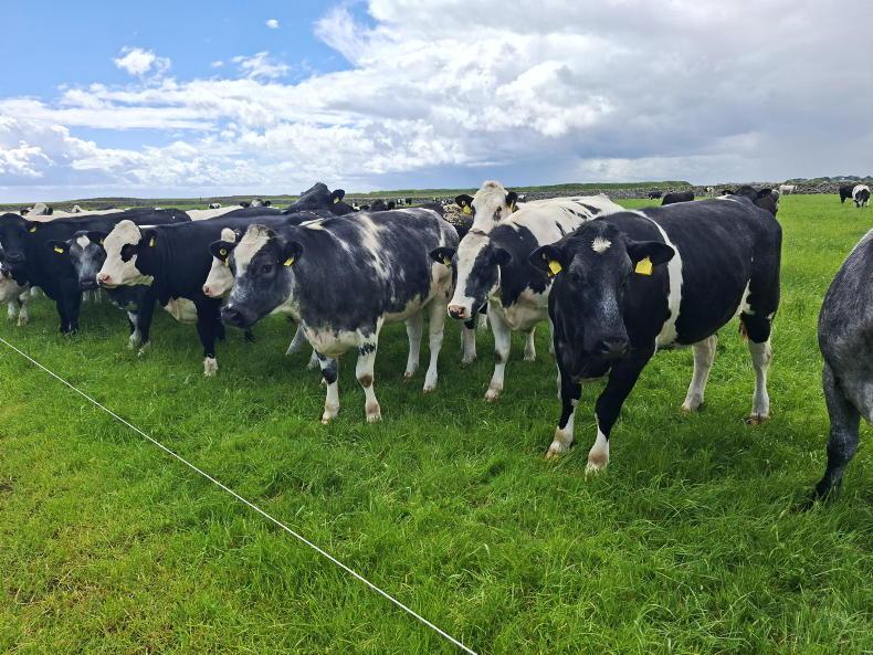 Battle of wills on beef price Battle of wills on beef price