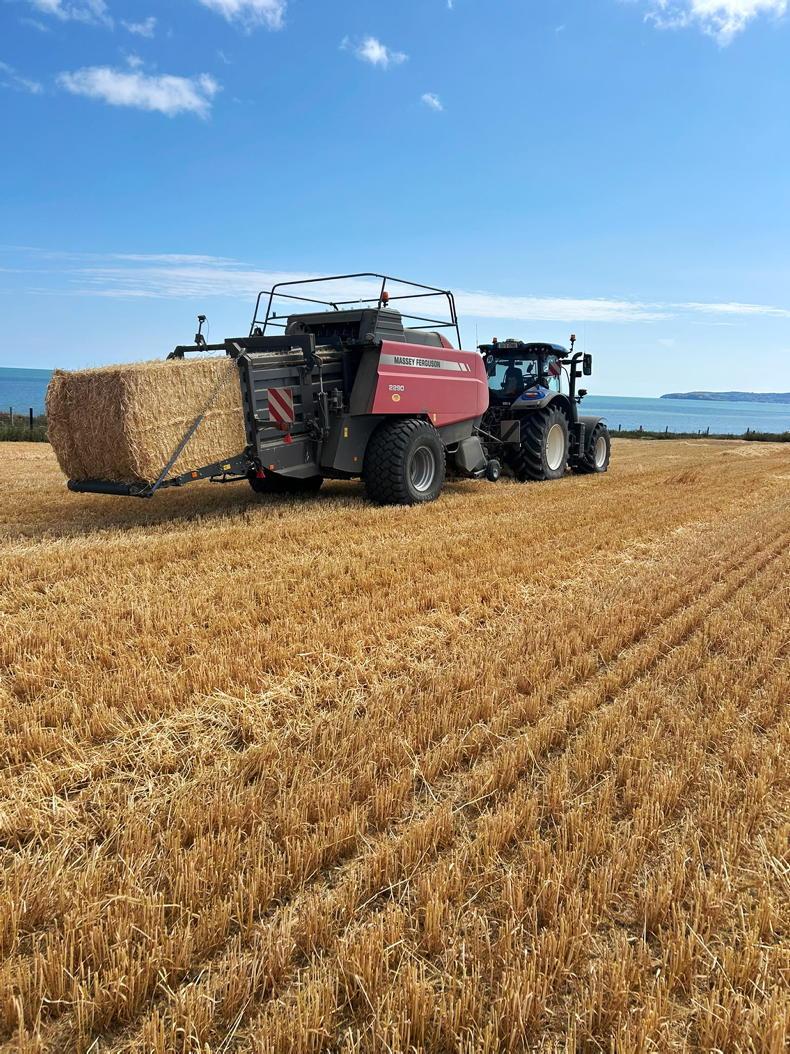 Cutting beans and planting oilseed rape Cutting beans and planting oilseed rape