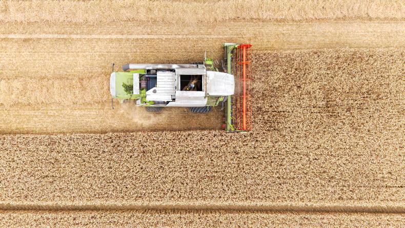 Exclusive: 2026 cereal production down slightly Exclusive: 2026 cereal production down slightly