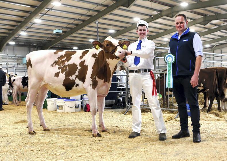 Tirlán stretches ahead at top of NI milk league Tirlán stretches ahead at top of NI milk league