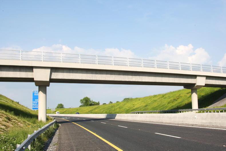 Motorway reopens after loose cow brings traffic to standstill Motorway reopens after loose cow brings traffic to standstill