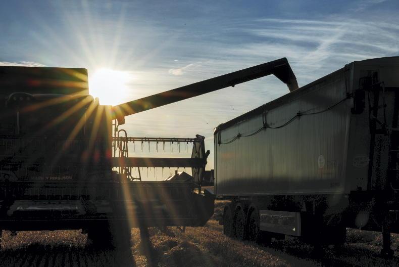 Grain Trends: prices up to highest in a month Grain Trends: prices up to highest in a month