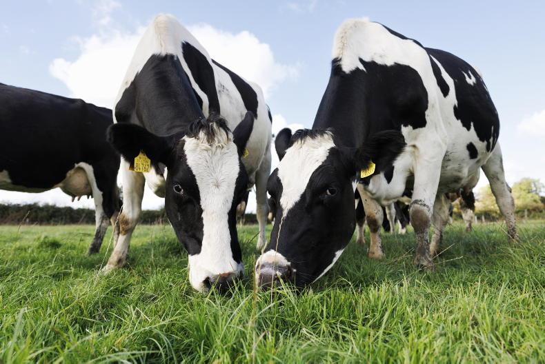 Dairy cow numbers by county revealed as national herd expands Dairy cow numbers by county revealed as national herd expands