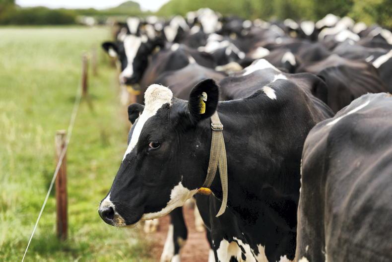Dairy Management: adapting quickly to autumn conditions Dairy Management: adapting quickly to autumn conditions