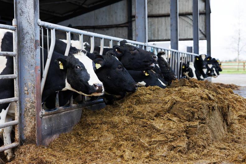 Housing cows in September - is it worth considering? Housing cows in September - is it worth considering?