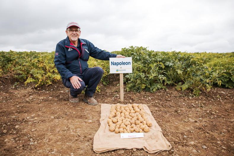 Tillage Podcast: harvest estimates, potato management and imported oats Tillage Podcast: harvest estimates, potato management and imported oats