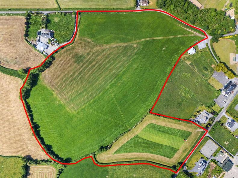 Westmeath land sells for 30% more than county average at auction Westmeath land sells for 30% more than county average at auction