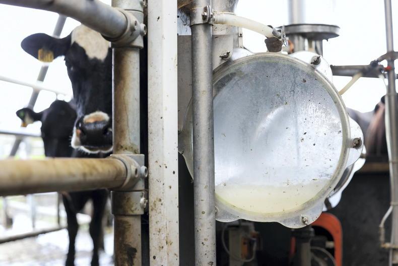 10 European dairy firms make Rabobank's top 20 10 European dairy firms make Rabobank's top 20