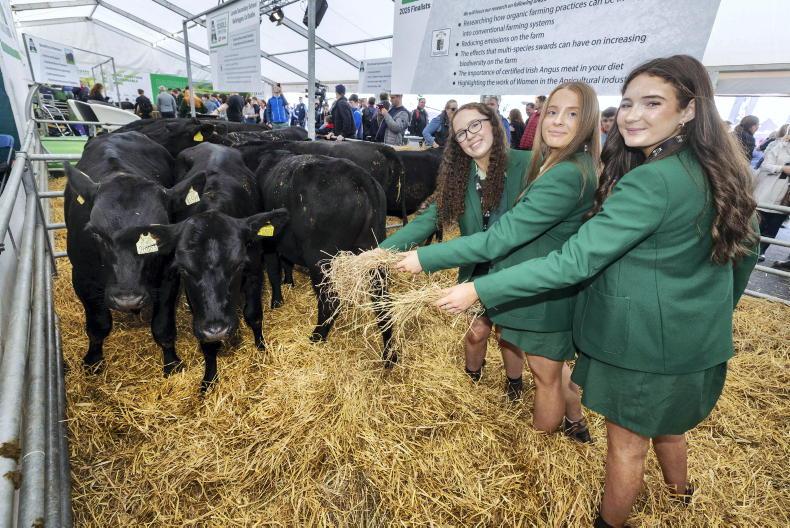 Five schools to take home Angus calves from Ploughing 2026 Five schools to take home Angus calves from Ploughing 2026