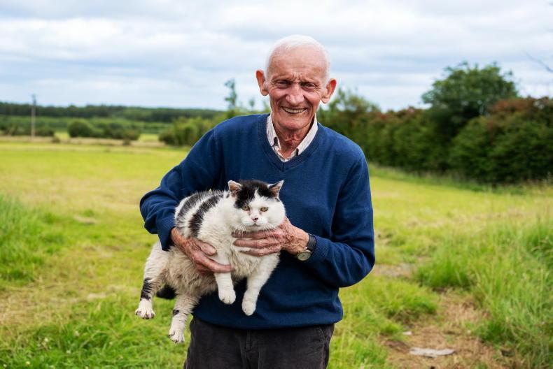 'I hope I never retire': Roscommon farmer, 85, still working with his Massey 135 'I hope I never retire': Roscommon farmer, 85, still working with his Massey 135