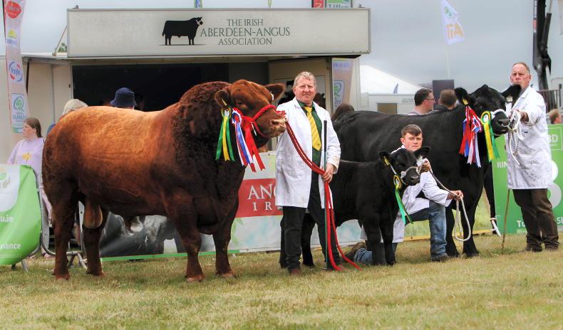 Lisduff sale includes two national champions Lisduff sale includes two national champions