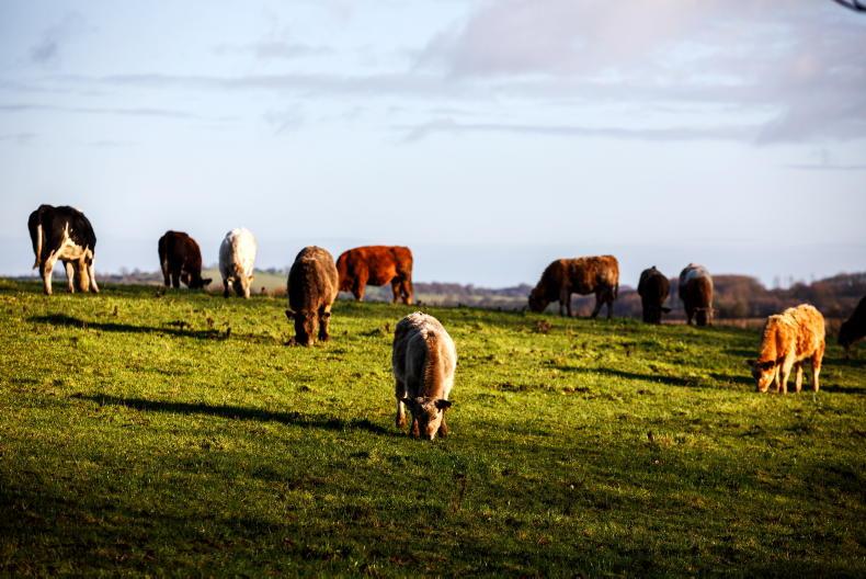 Nine in 10 believe Irish farmers deserve more recognition Nine in 10 believe Irish farmers deserve more recognition