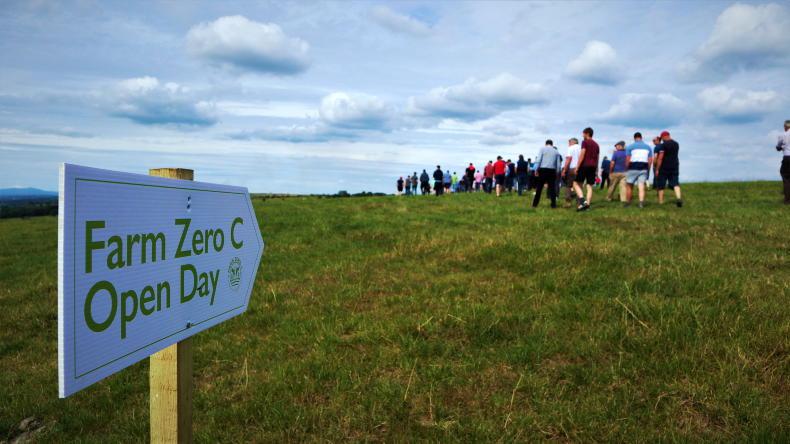 Profit surged at Shinagh in 2025 Profit surged at Shinagh in 2025