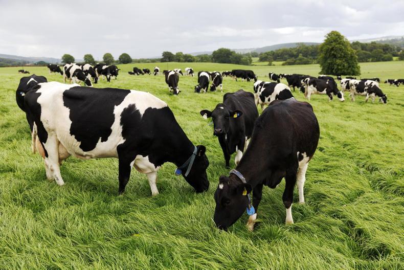 Dairy Management: adapting quickly to autumn conditions Dairy Management: adapting quickly to autumn conditions
