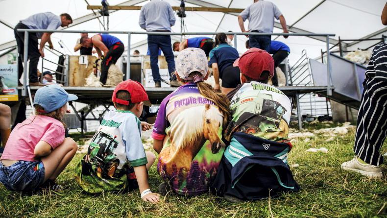Three days of shearing action lined up for the Ploughing Three days of shearing action lined up for the Ploughing