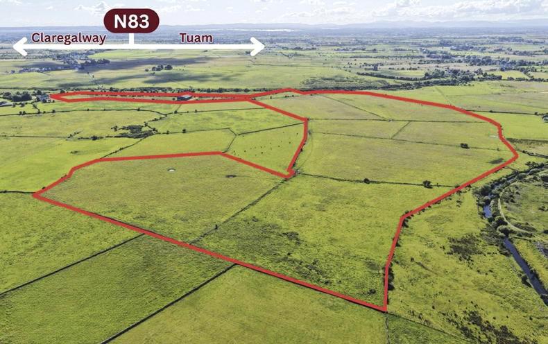 Stone walls and the grass is green with 84ac of potential Stone walls and the grass is green with 84ac of potential