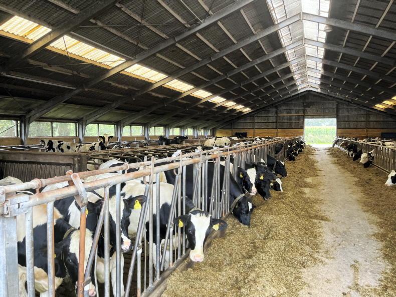 Danish farmers protest tougher nitrogen rules Danish farmers protest tougher nitrogen rules