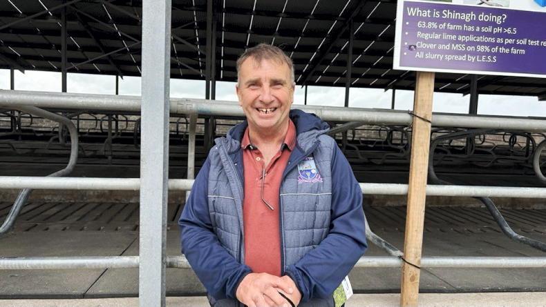 'Three or four bales a day for six weeks' - the cost of Cork's dry spell 'Three or four bales a day for six weeks' - the cost of Cork's dry spell