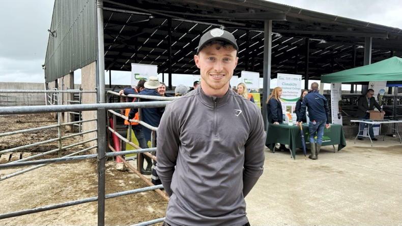 'Three or four bales a day for six weeks' - the cost of Cork's dry spell 'Three or four bales a day for six weeks' - the cost of Cork's dry spell