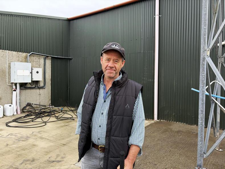 'Three or four bales a day for six weeks' - the cost of Cork's dry spell 'Three or four bales a day for six weeks' - the cost of Cork's dry spell