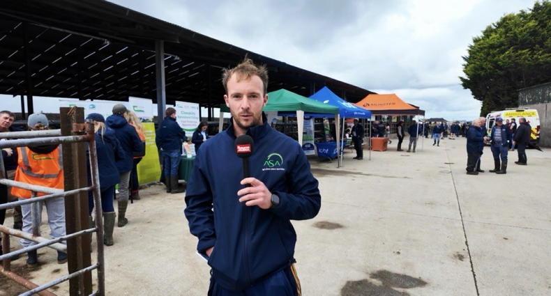 'Three or four bales a day for six weeks' - the cost of Cork's dry spell 'Three or four bales a day for six weeks' - the cost of Cork's dry spell