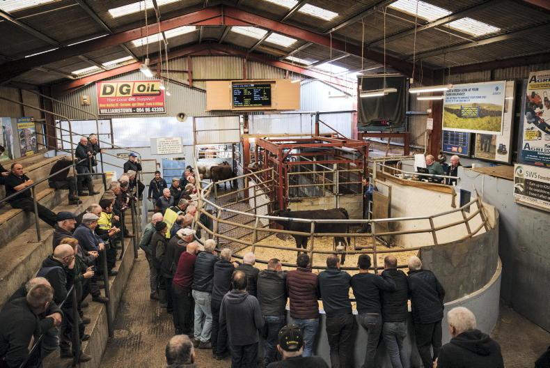 Editorial: the mart – so much more than just a place to buy and sell livestock Editorial: the mart – so much more than just a place to buy and sell livestock