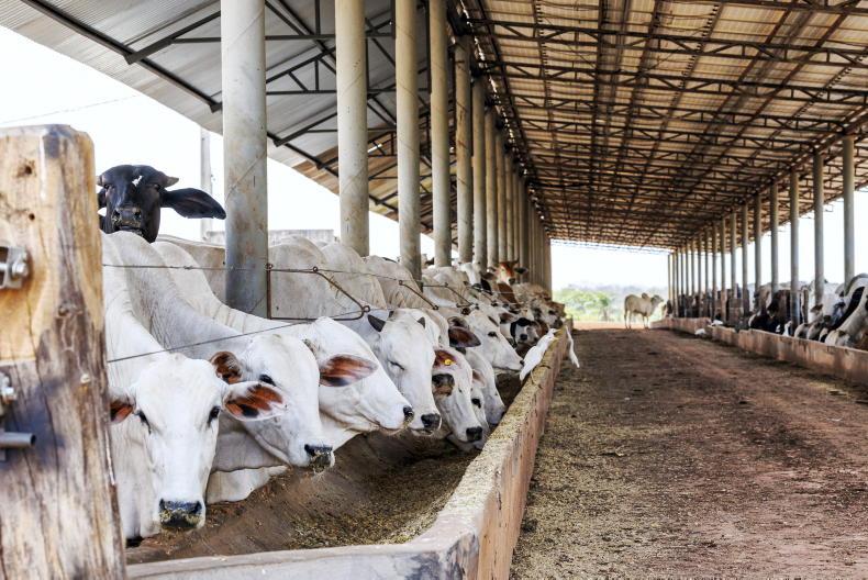 UK wants ‘assurance’ on Brazilian imports UK wants ‘assurance’ on Brazilian imports