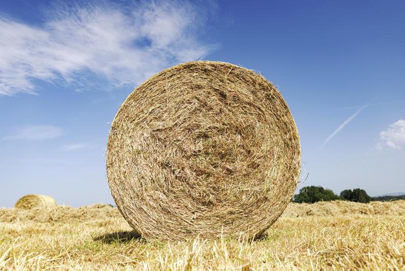 Silage selling for €40/bale out of the west Silage selling for €40/bale out of the west