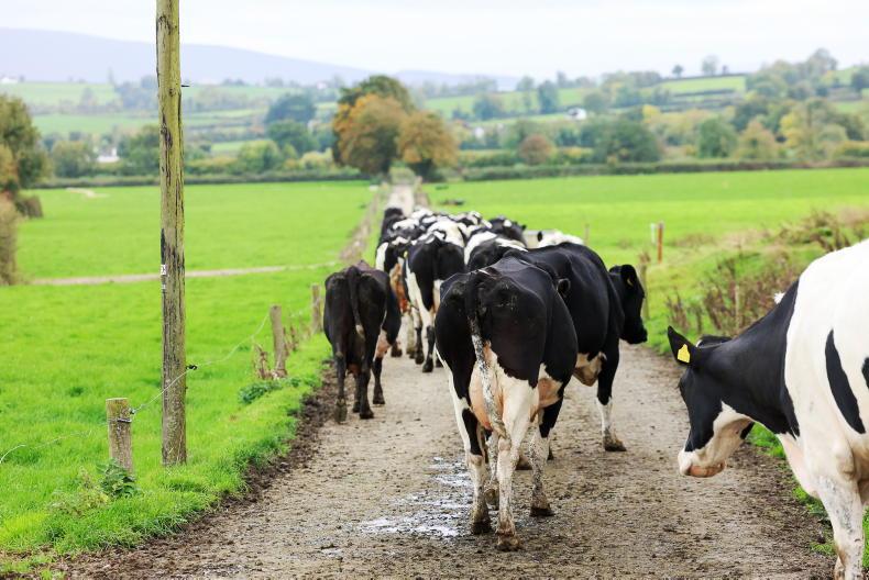 New reports on table for derogation assessment New reports on table for derogation assessment
