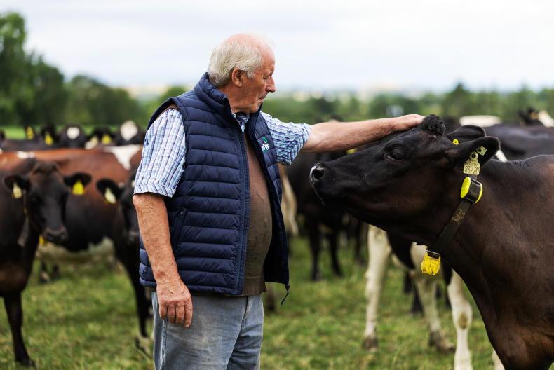 Inside the 243-cow Tipperary dairy farm comfortably supporting two families Inside the 243-cow Tipperary dairy farm comfortably supporting two families