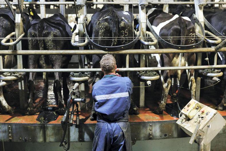 Flexible milking on dairy farms: the benefits and trade-offs Flexible milking on dairy farms: the benefits and trade-offs