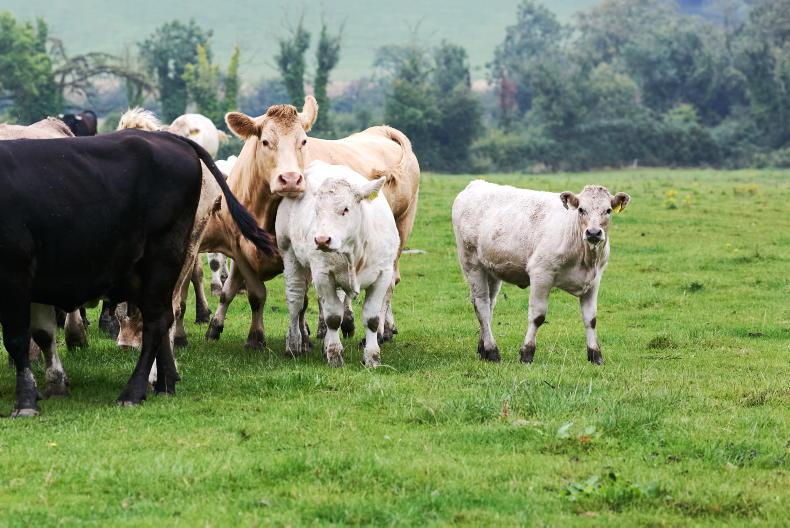Organic farming proving to be a resilient system in Meath Organic farming proving to be a resilient system in Meath