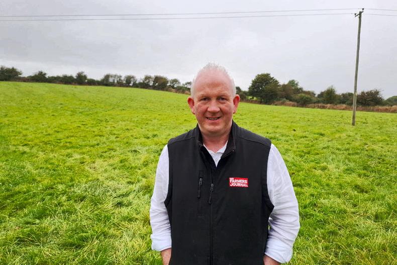 Renewed vaccination calls as shippers dominate weanling sales Renewed vaccination calls as shippers dominate weanling sales