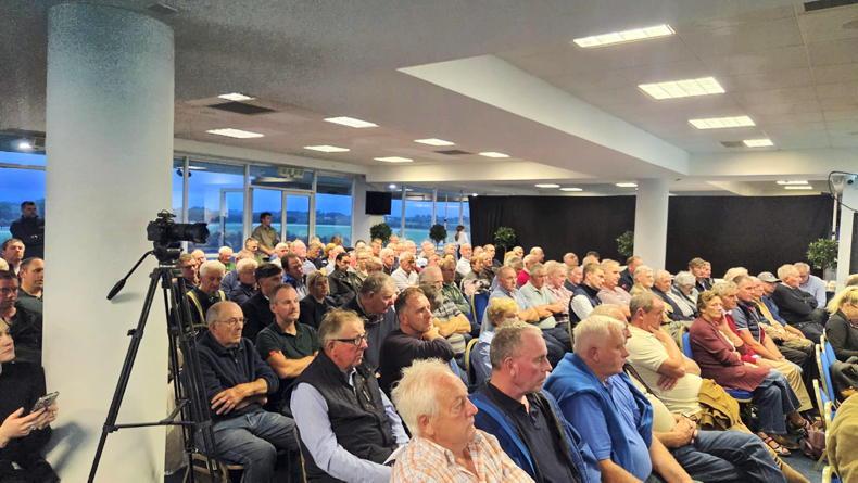 'Money for nothing' - Gorman says proposed CAP leaves farming in dire straits 'Money for nothing' - Gorman says proposed CAP leaves farming in dire straits