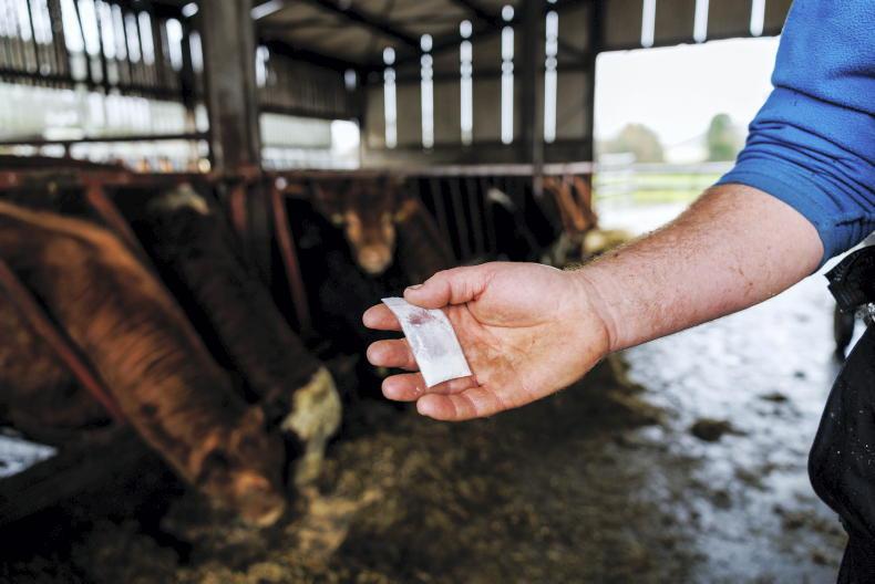 Cocaine use ‘normalised’ among young farmers Cocaine use ‘normalised’ among young farmers