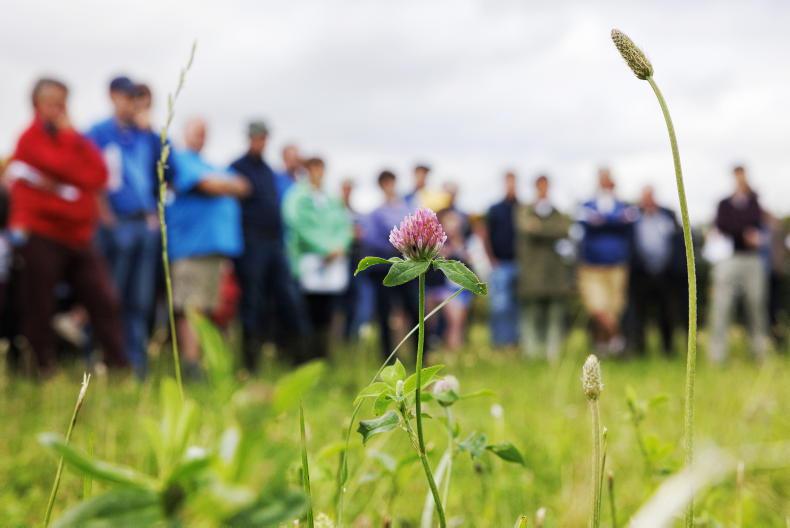 Teagasc FutureBeef farm walk postponed in Clare Teagasc FutureBeef farm walk postponed in Clare