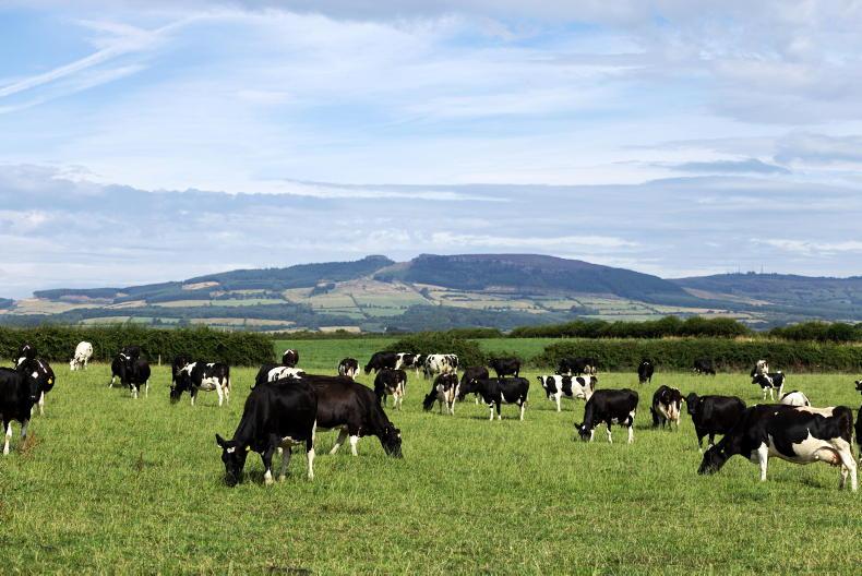 Inside the new 155-cow Tipperary dairy farm targeting a 40-hour week Inside the new 155-cow Tipperary dairy farm targeting a 40-hour week