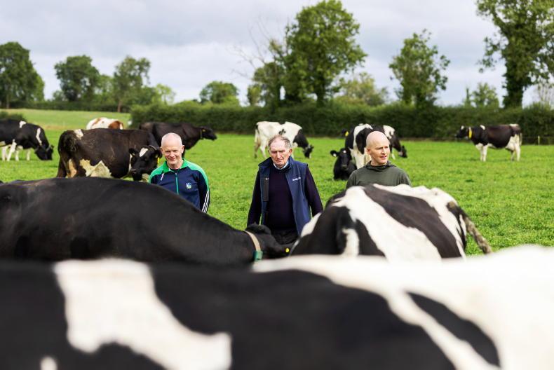 No one seems in charge, but three generations get everything done on dairy farm No one seems in charge, but three generations get everything done on dairy farm