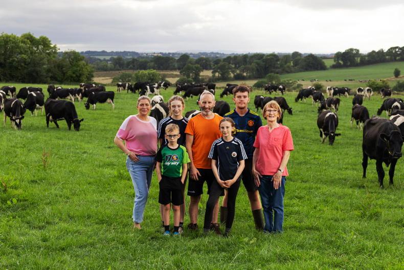 The relaxed rhythm of family farming in North Cork The relaxed rhythm of family farming in North Cork