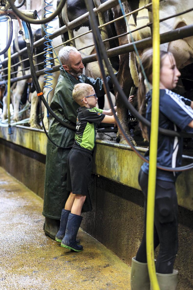 The relaxed rhythm of family farming in North Cork The relaxed rhythm of family farming in North Cork